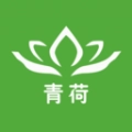 青荷健康安卓官方版