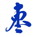枣解决枣满意安卓直装版
