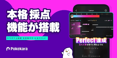 Pokekara安卓版图1