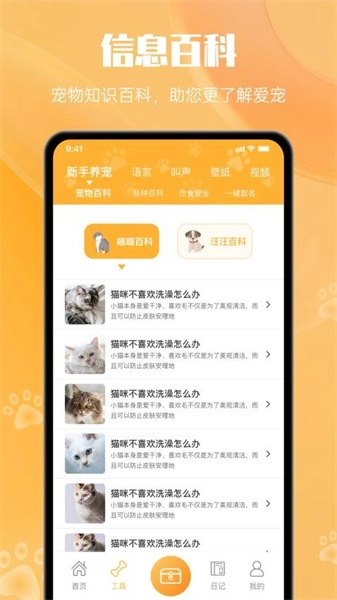猫翻译无广告版