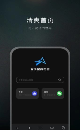 双子星浏览器手机免费版图3