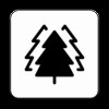 big tree最新免费版