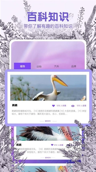 识物相机免费版