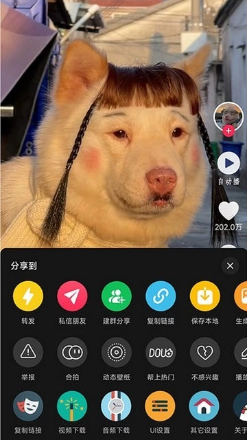 逗音小能手安卓官方版图3