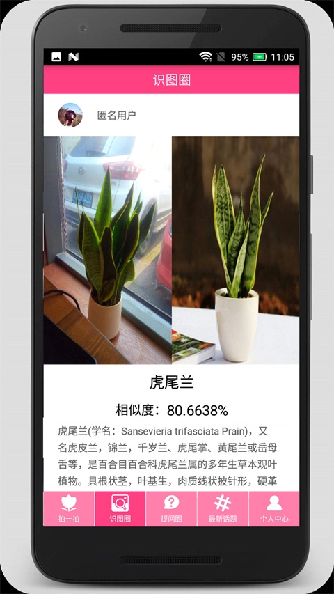 拍照识物官方最新版图1
