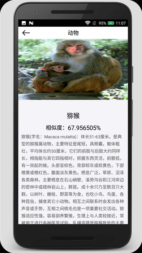 拍照识物官方最新版图2