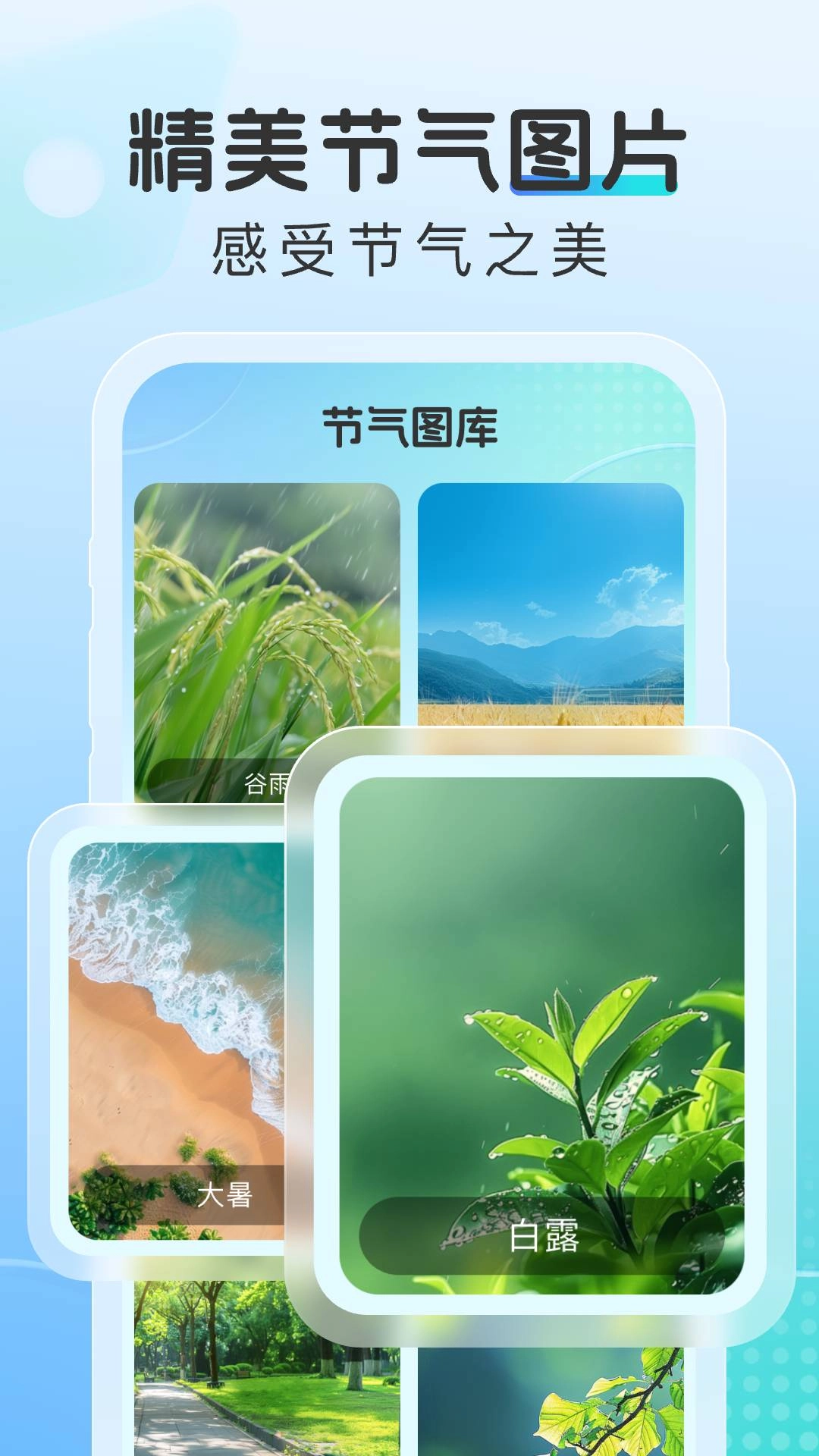 晴云指南无广告版图1