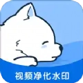 小熊视频去水印官方正版