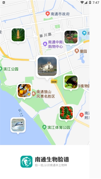 南通生物脸谱官方版
