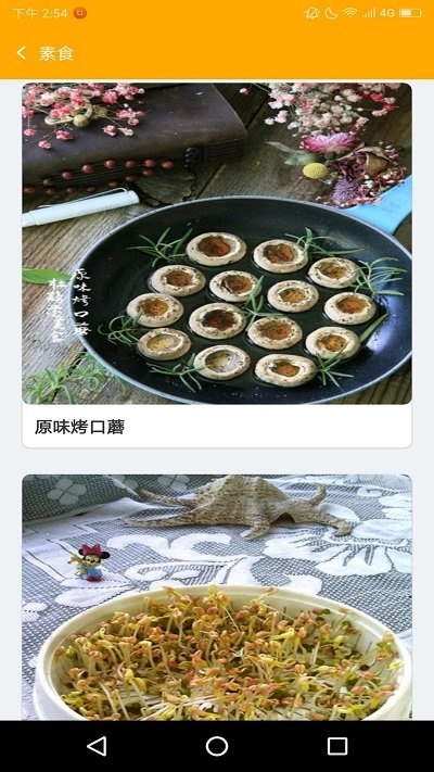 菜达人直装版图1