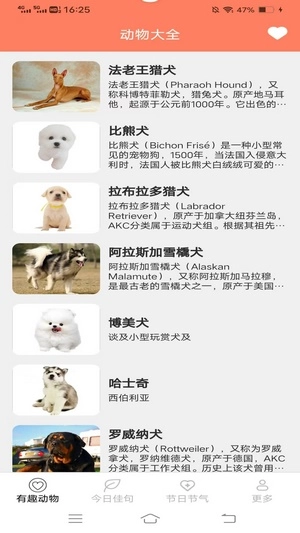 繁星汇看安卓直装版图2