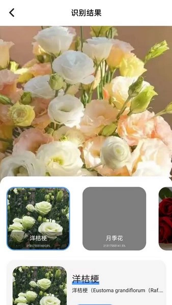 花草识图师通用版图2