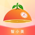 智小美原版