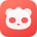 熊猫签证安卓直装版