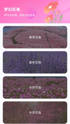 花海寻梦安卓官方版图3