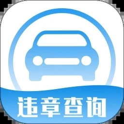 人工查违章123安卓官方版
