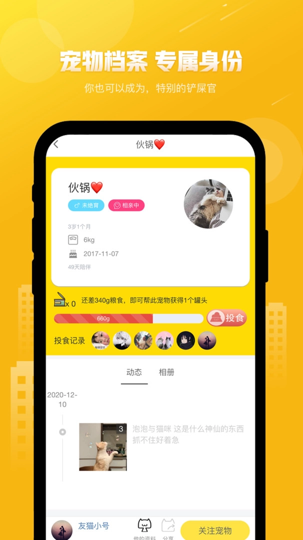 友猫最新版(1)