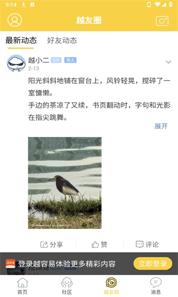 越容易免费原版图4