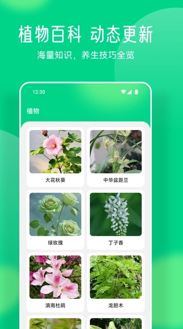 易花花语安卓版图3
