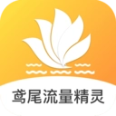 鸢尾流量精灵安卓免费版