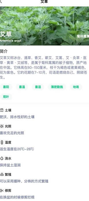炎焱绿植安卓直装版
