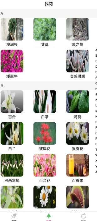 炎焱绿植安卓直装版