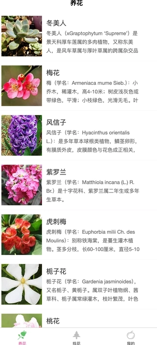 炎焱绿植安卓直装版