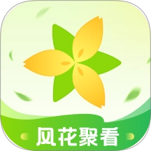 风花聚看官方正版