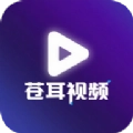 苍耳视频手机最新版