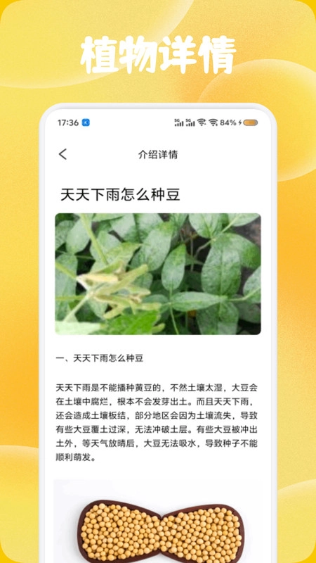 花苞百科最新版