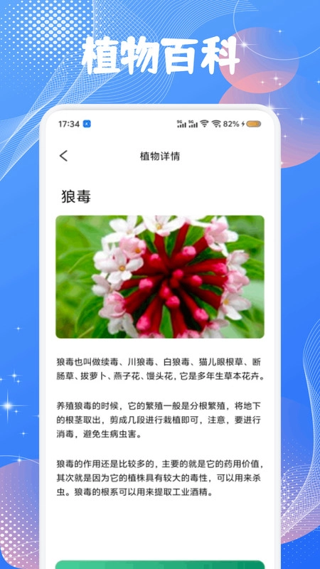花苞百科最新版