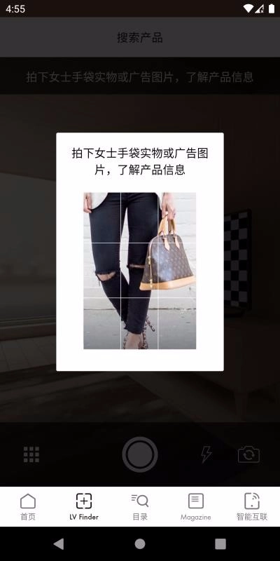 Louis Vuitton通用版图2