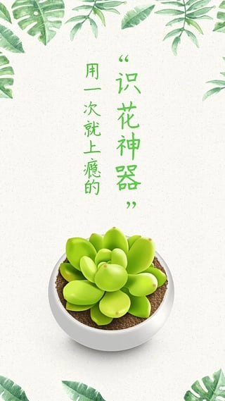 形色免费版
