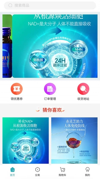 芊福芷直装版图4