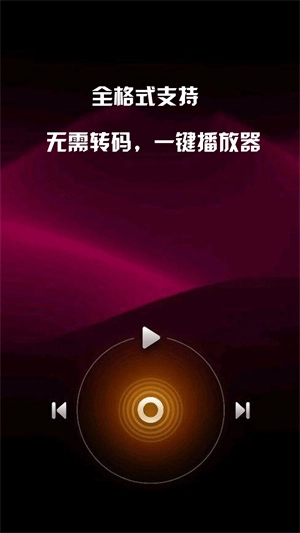 mx播放器通用版图2