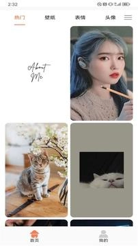 花猫壁纸免费原版图4