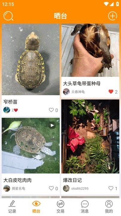 龟圈江湖图3