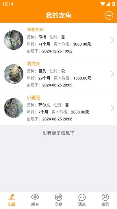 龟圈江湖图1