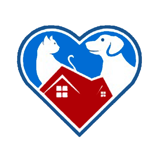 抢先赚官方正版