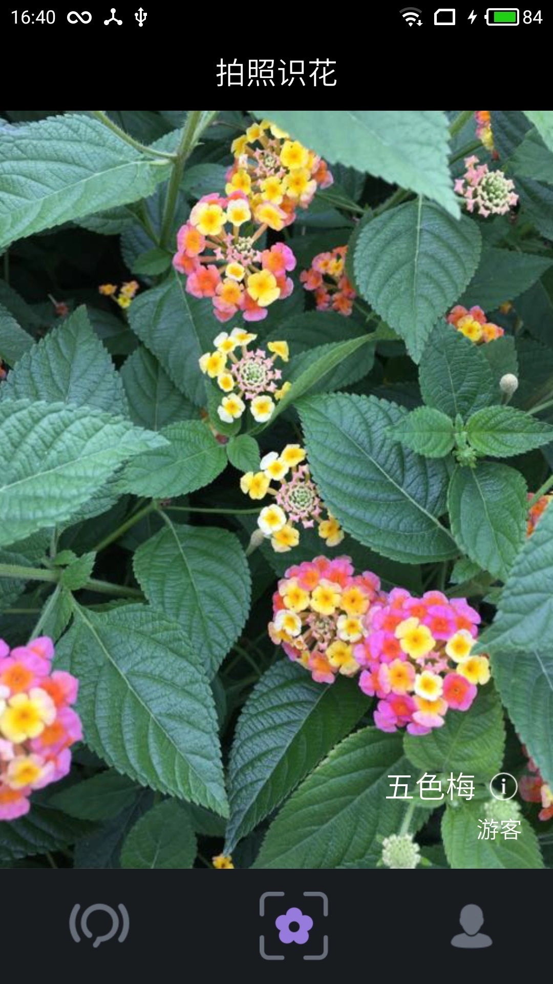 拍照识花软件手机免费版