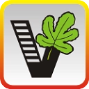 我要自学网手机正版