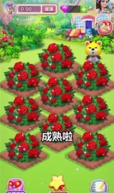 浪漫花园红包版图5