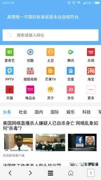 VIP浏览器免费版图1