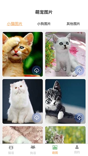 昊捷猫狗翻译安卓直装版图1