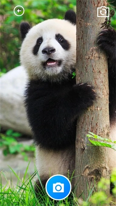 小精灵百宝箱(2)