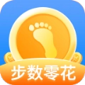 步数零花