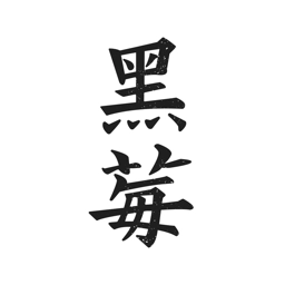 黑莓小说安卓直装版