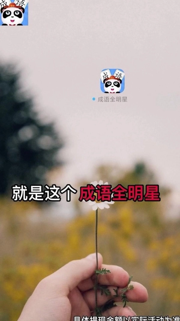 成语全明星安卓版图3