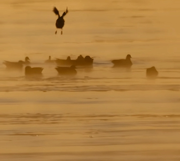内蒙古&ldquo;水煮黄河&rdquo;奇观再现：宛若仙境