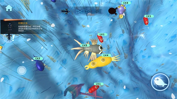 物种进化模拟器(2)